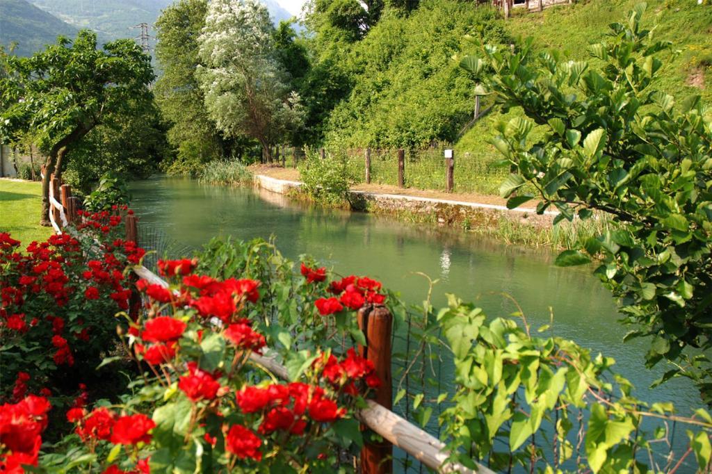 Hotel Calvi-Ristorante Mainor Vittorio Veneto Εξωτερικό φωτογραφία